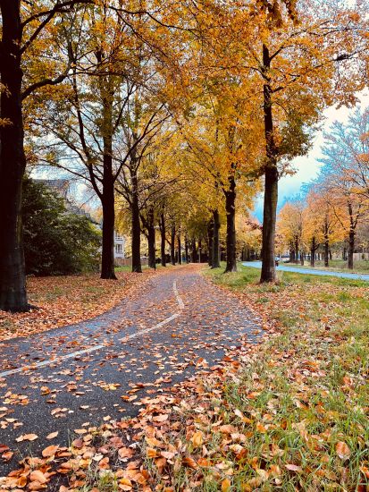 Herfstvakantie
