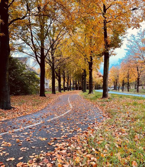 Herfstvakantie